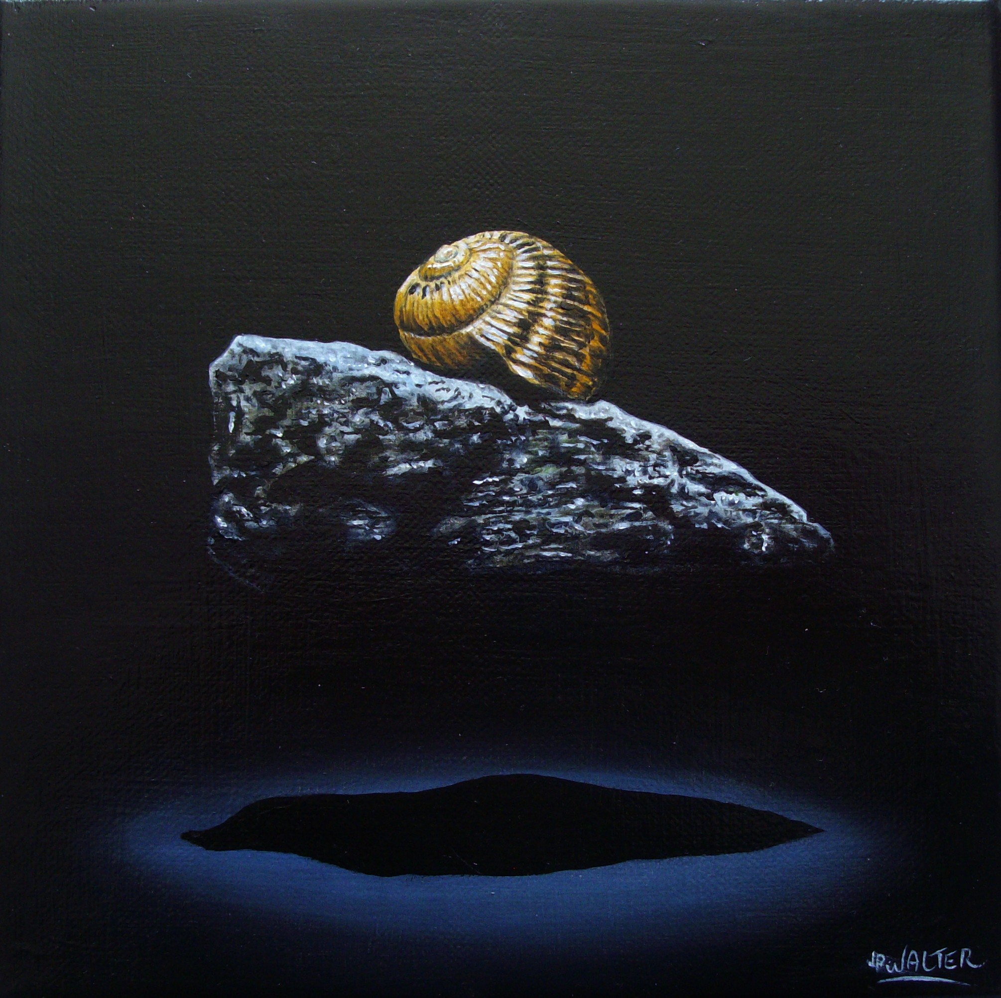 2402 nature morte escargot caillou flottant